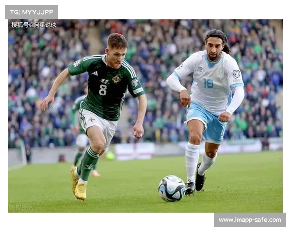 世界杯预选赛芬兰队险胜乌克兰队