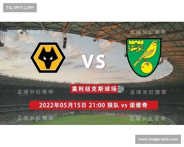 英格兰足球超级联赛诺维奇城客场战平狼队